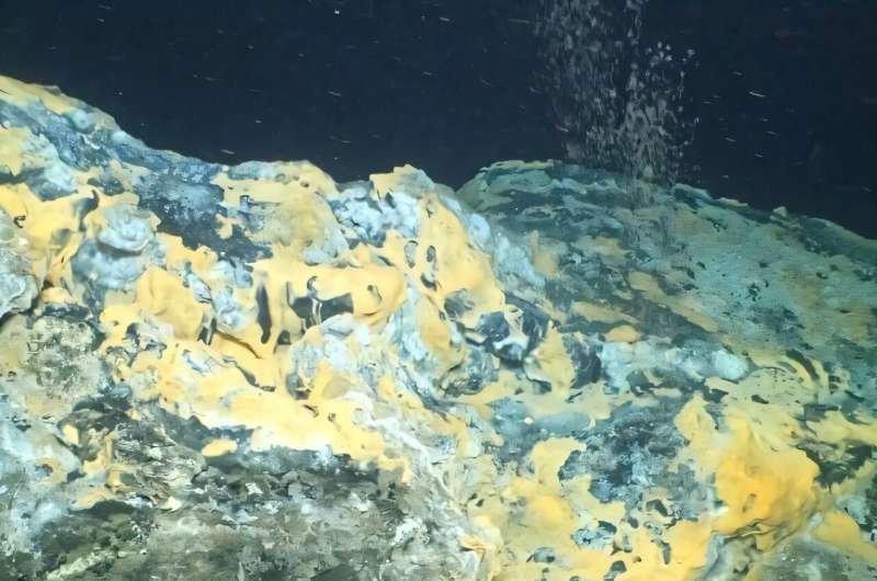 Dos átomos de nitrógeno revelan cómo los microbios limpian el agua